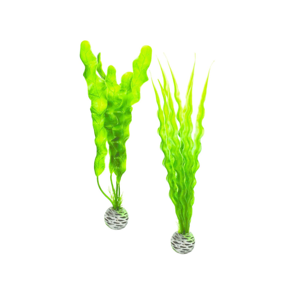 Biorb Easy Plant Set Green Medium 2 ct