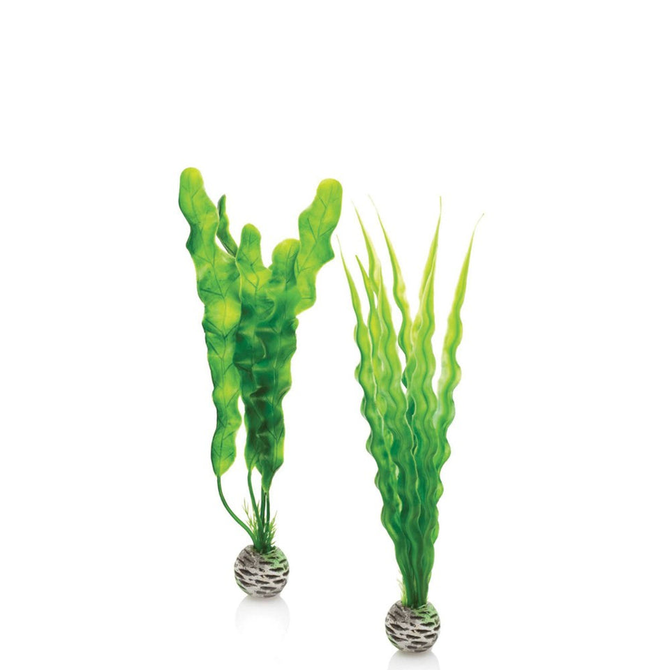 Biorb Easy Plant Set Green Medium 2 ct