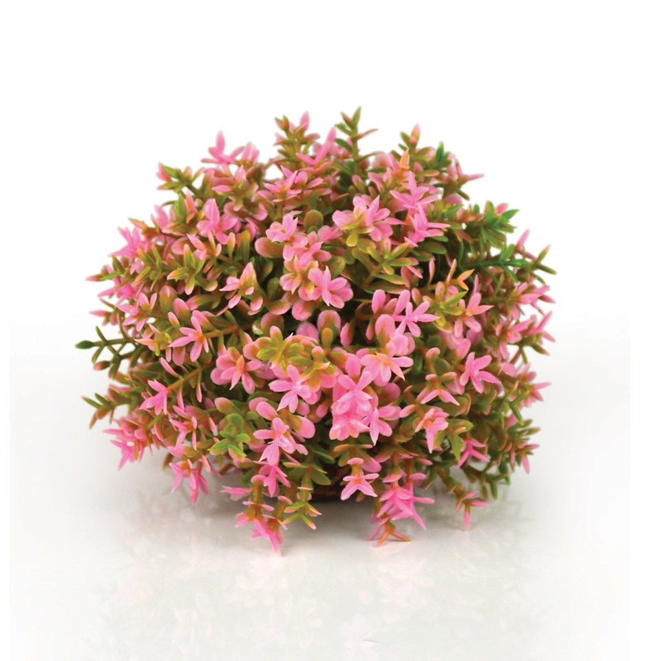 BiOrb Flower Ball Aquarium Plant, Pink, 4.33 in
