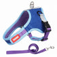 Luxury Suede Dog Harness Set: Stylish Leash And Adjustable Chest Strap For Pet Comfort - Pets Perfect