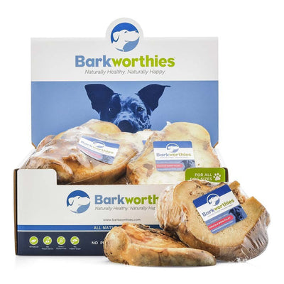 Barkworthies - Knuckle Bone Fillet Grass-Fed Beef Dog Chew, 20 ct