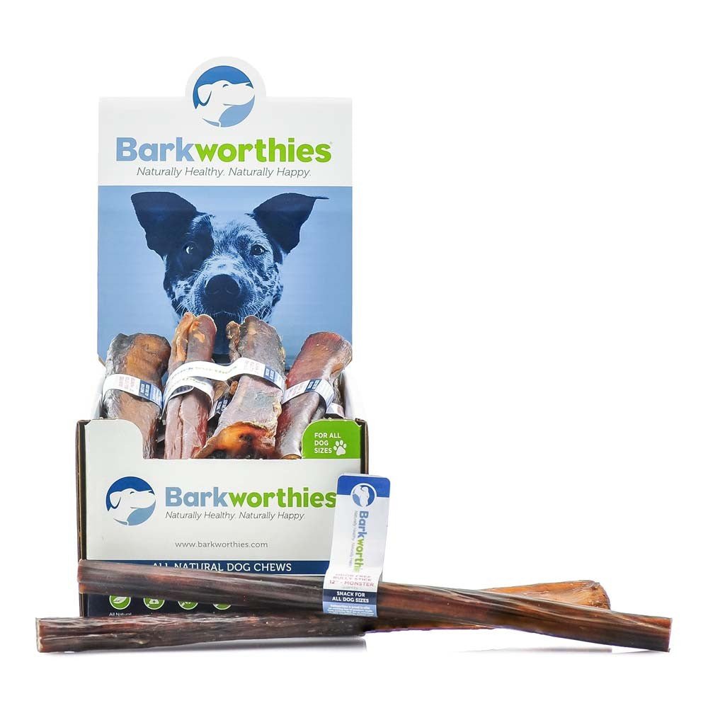 Barkworthies – Long - Lasting Odor - Free Monster Bully Stick 12" | Case of 18 - Pets Perfect