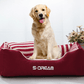 Luxury Washable Pet Bed: Comfort And Style Combined - Pets Perfect