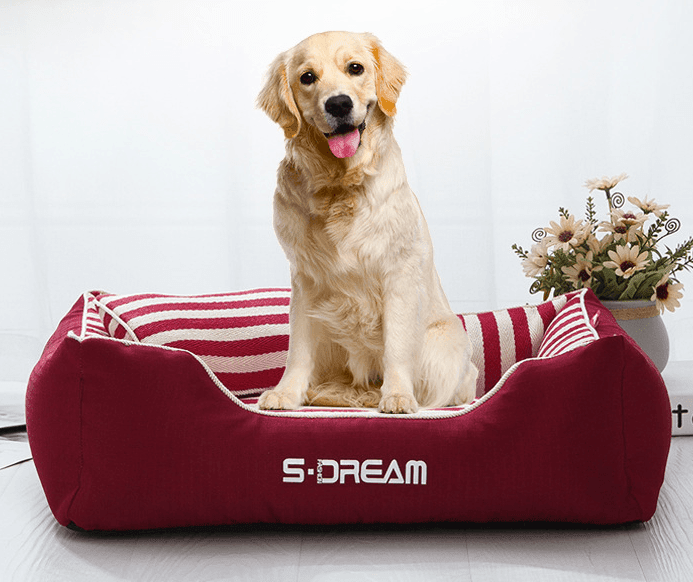 Luxury Washable Pet Bed: Comfort And Style Combined - Pets Perfect
