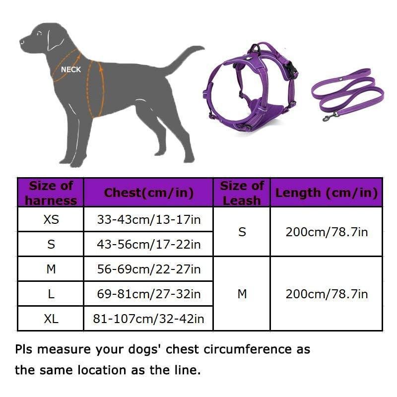 Ultimate Canine Comfort Harness - Pets Perfect