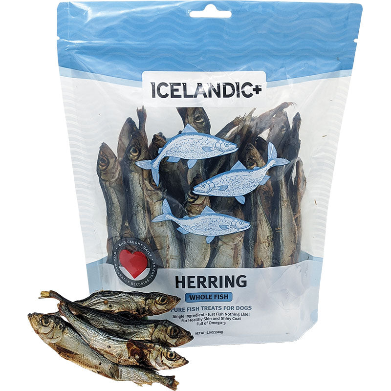 Icelandic Dog Herring Fish Whole Bulk 9 oz