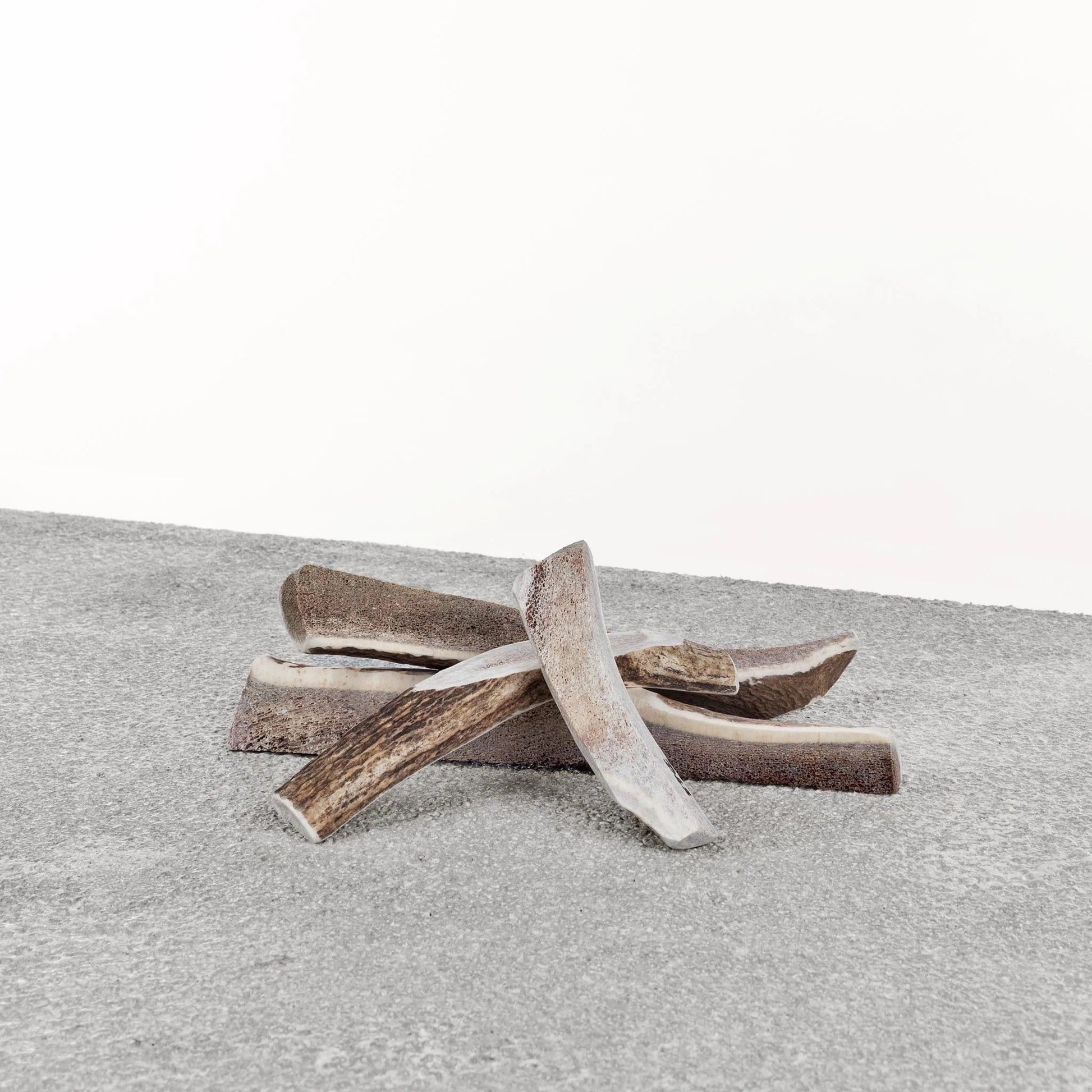 Primal Dog Stag Antler X-Large
