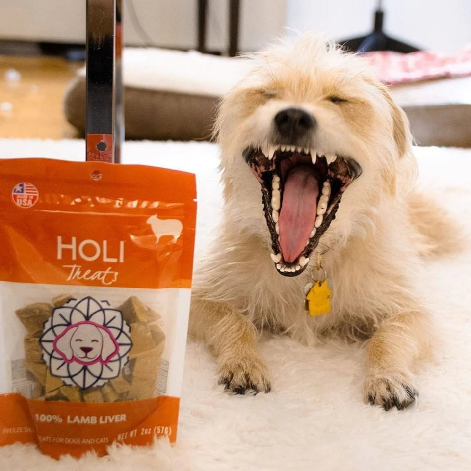 Holi Dog 2 oz. Lamb Liver, view 4
