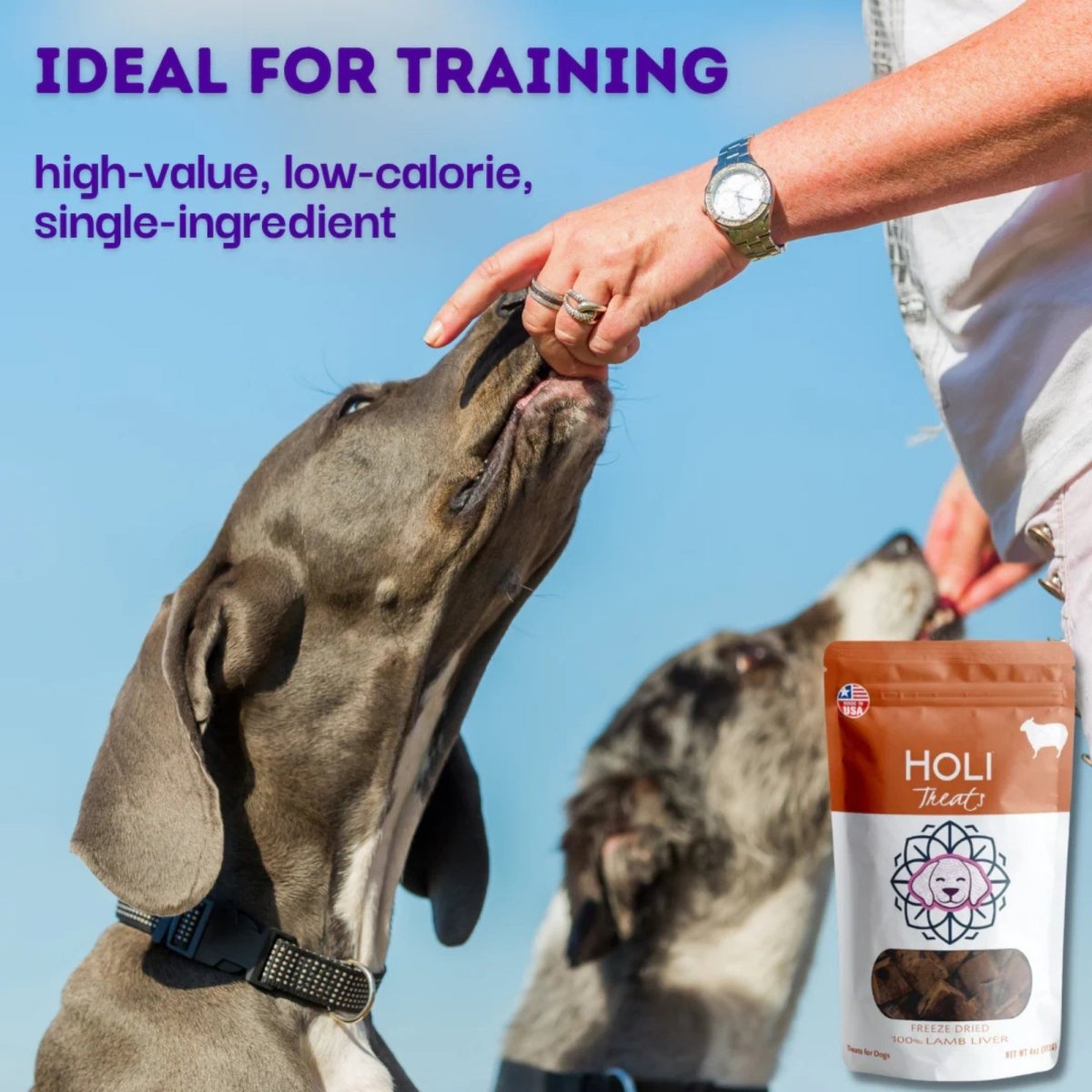 Holi Dog 2oz. Lamb Liver - Pets Perfect