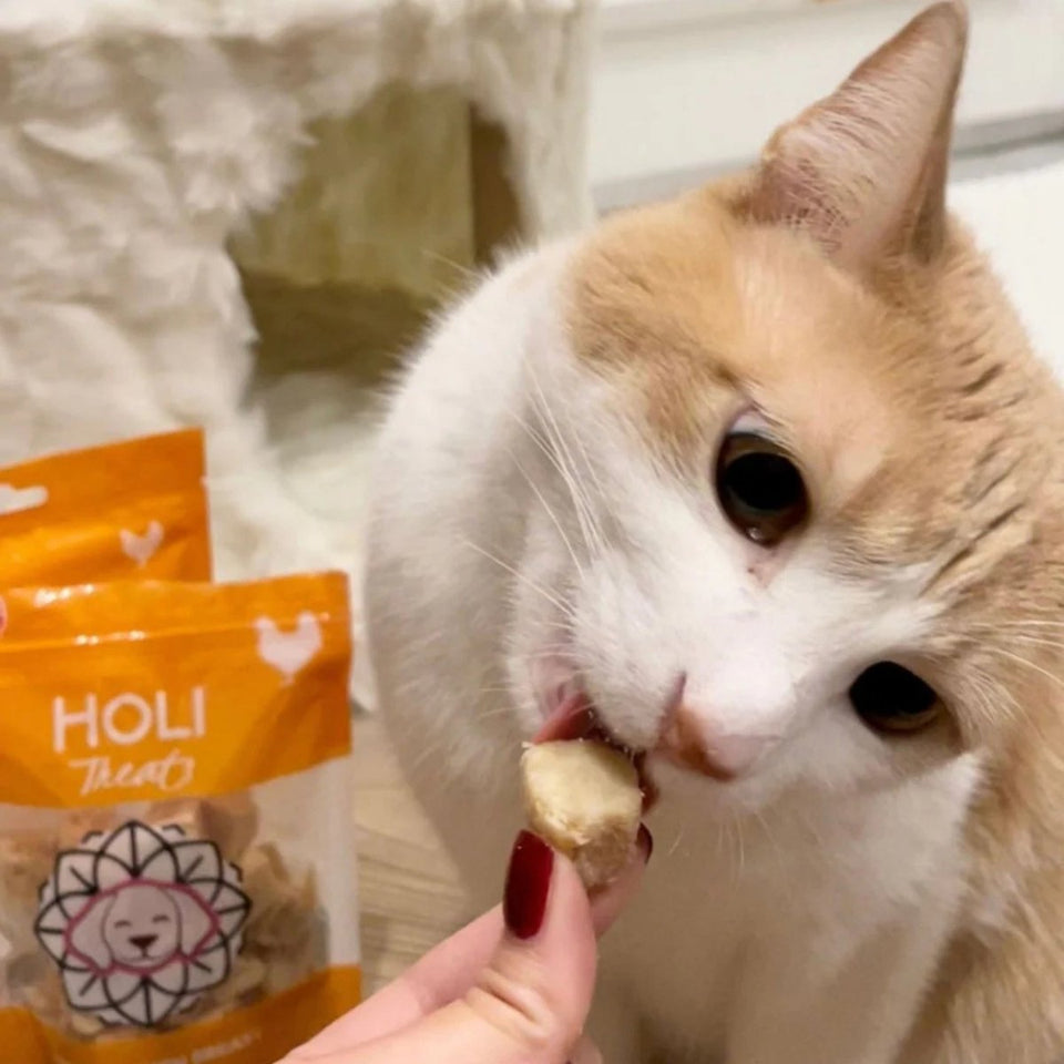 Holi Dog 3.5 oz. Chicken Breast, view 2
