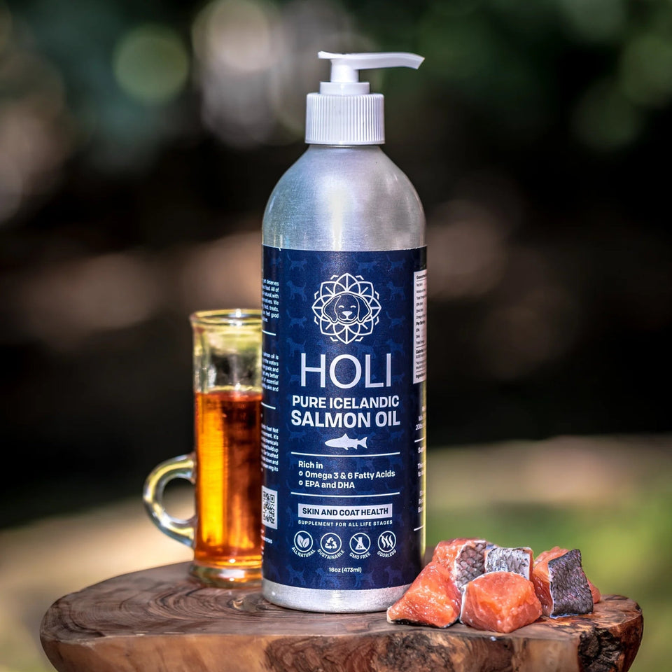 Holi Dog & Cat 16 oz. Icelandic Salmon Oil