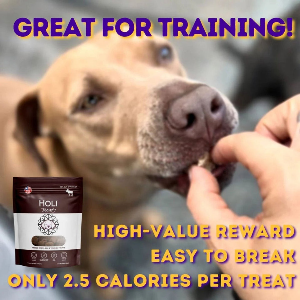 Holi Dog 3 oz. Elk Venison, view 3