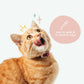 Kin+Kid Natural Kitty Ear Cleaner 4oz. - Pets Perfect