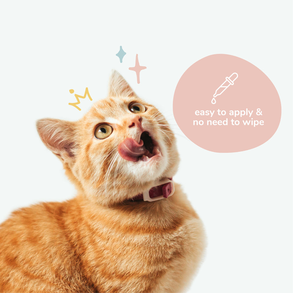 Kin+Kind Natural Kitty Ear Cleaner 4 oz