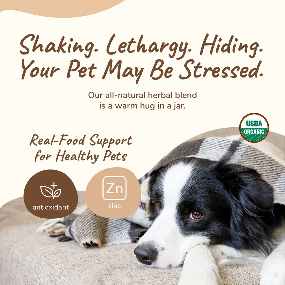 Kin+Kind Dog & Cat Healthy Calm Supplement 4 oz