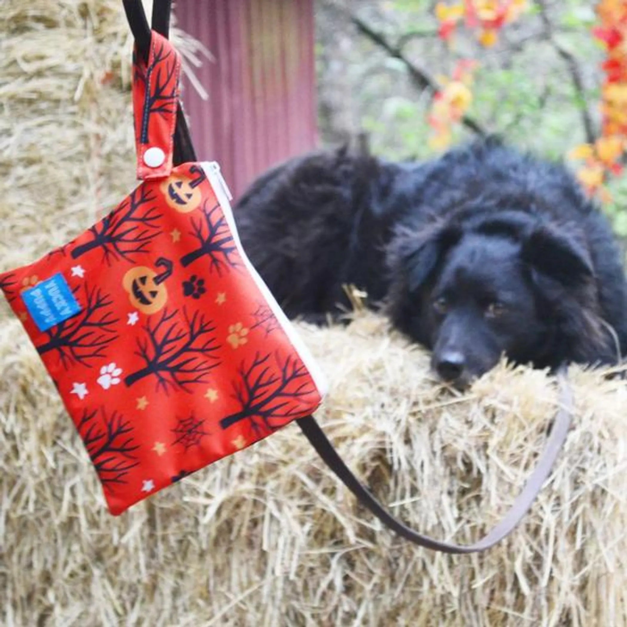 Halloween Yucky Puppy Poop Bag Carriers