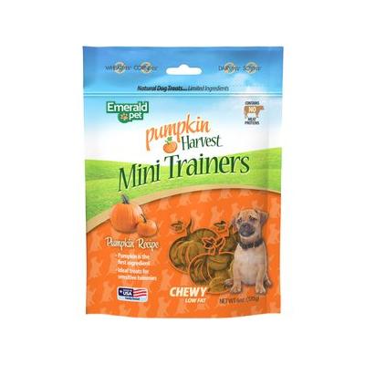 Front of Pumpkin Harvest Mini Trainers bag with pumpkin graphic and dog