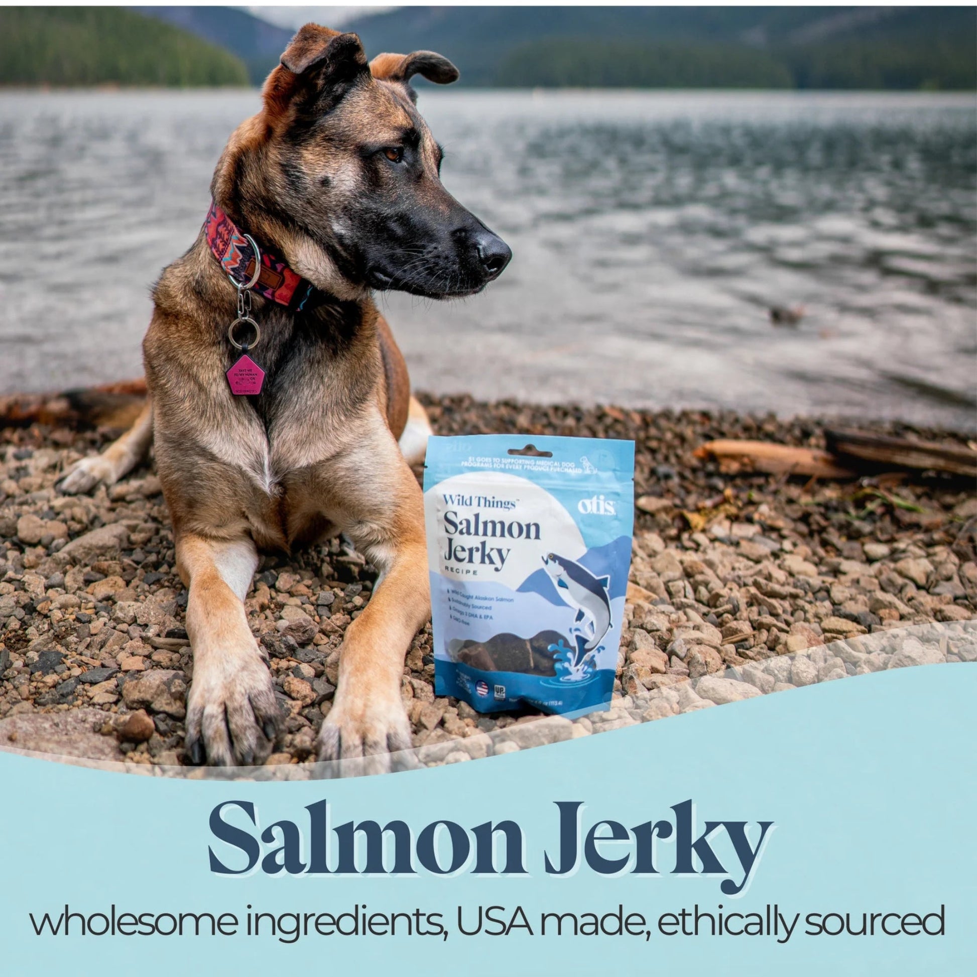 Otis Dog Wild Things Wild Alaskan Salmon Jerky 4 oz, view 2