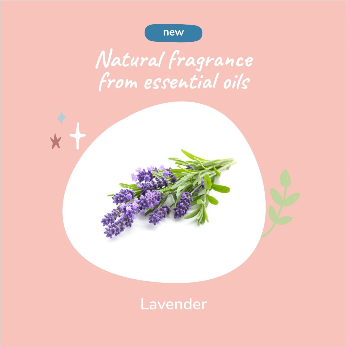 Kin+Kid Calming Lavender 8oz. Natural Waterless Bath - Pets Perfect