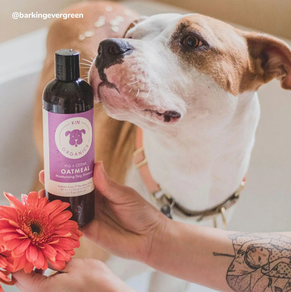 Kin+Kind Coat Oatmeal Fig+Cedar 12 oz. Pet Shampoo
