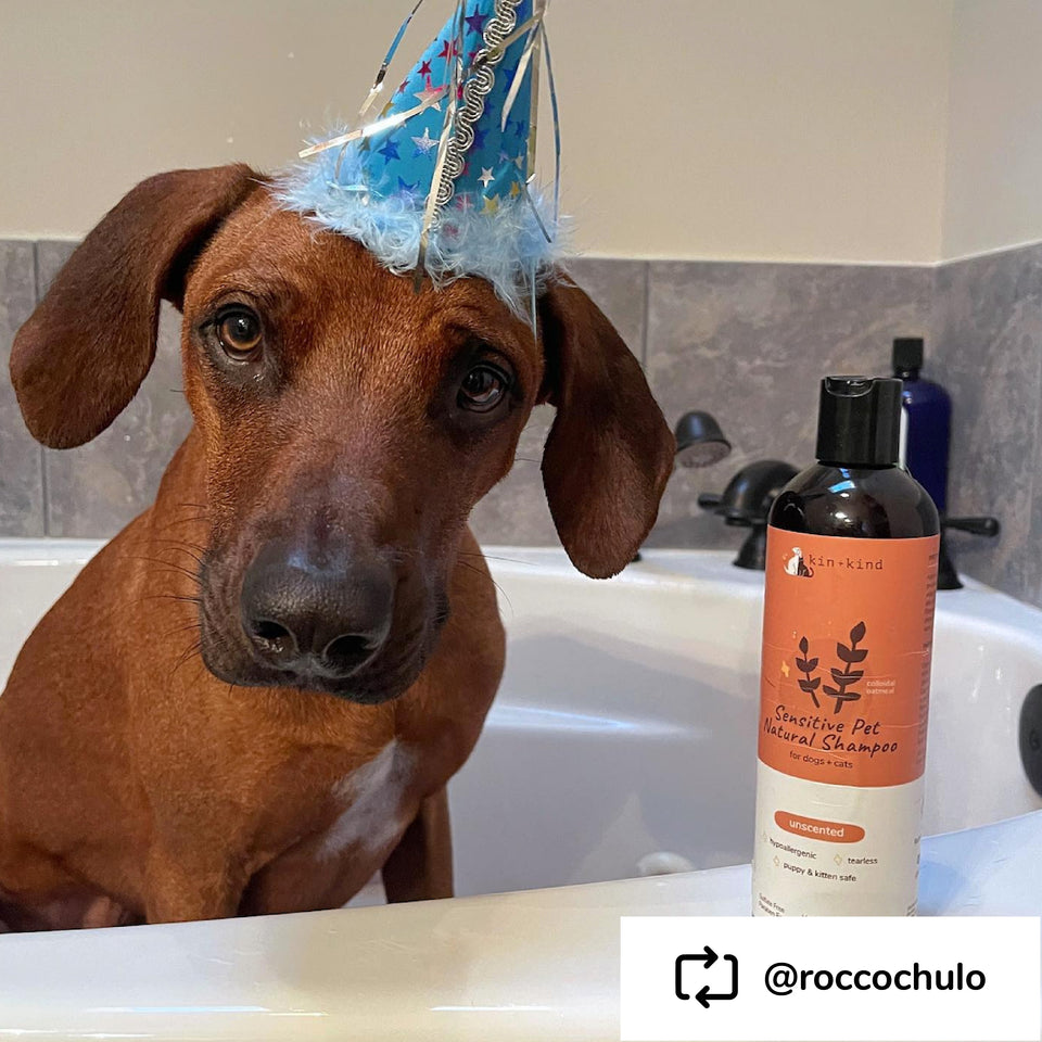 Kin+Kind Sensitive Skin Unscented Oatmeal 12 oz. Natural Pet Shampoo Puppy/Kitten Safe