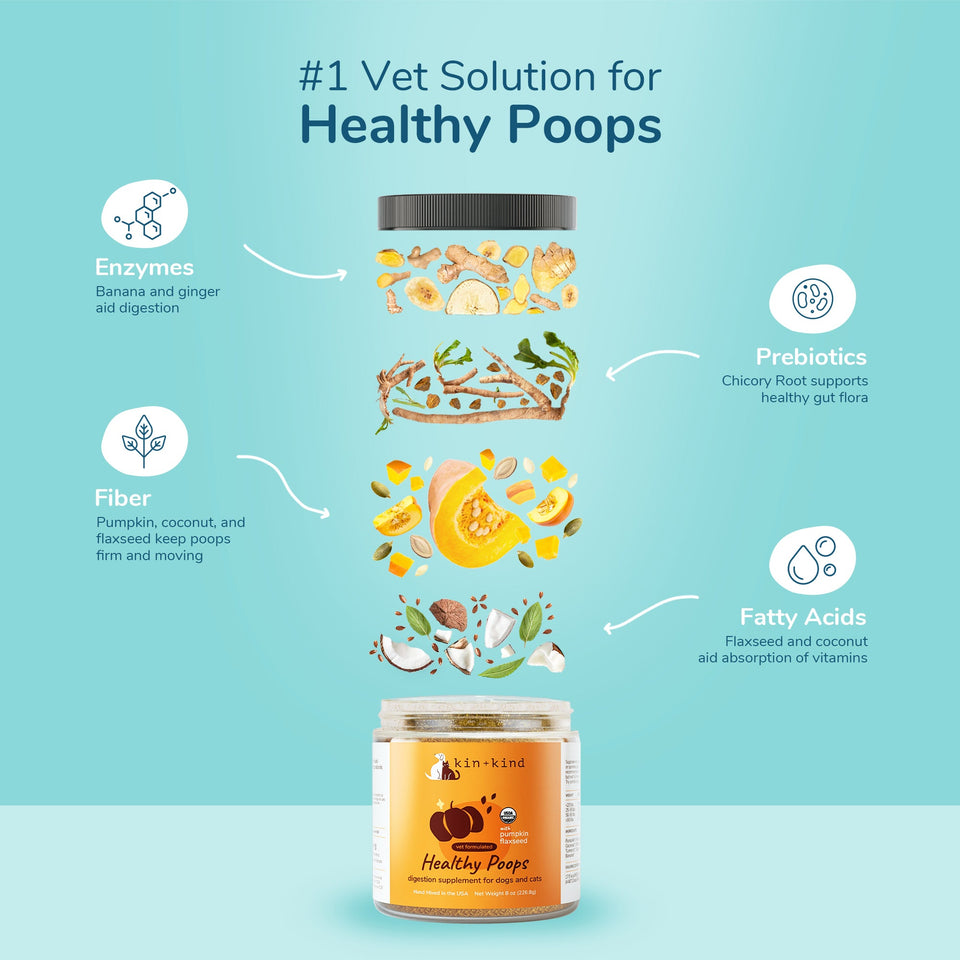 Kin+Kid Organic Digestion Supplement Healthy Poops Pumkin 4 oz