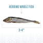 Icelandic Cat Herring Whole Fish 1.5oz. - Pets Perfect