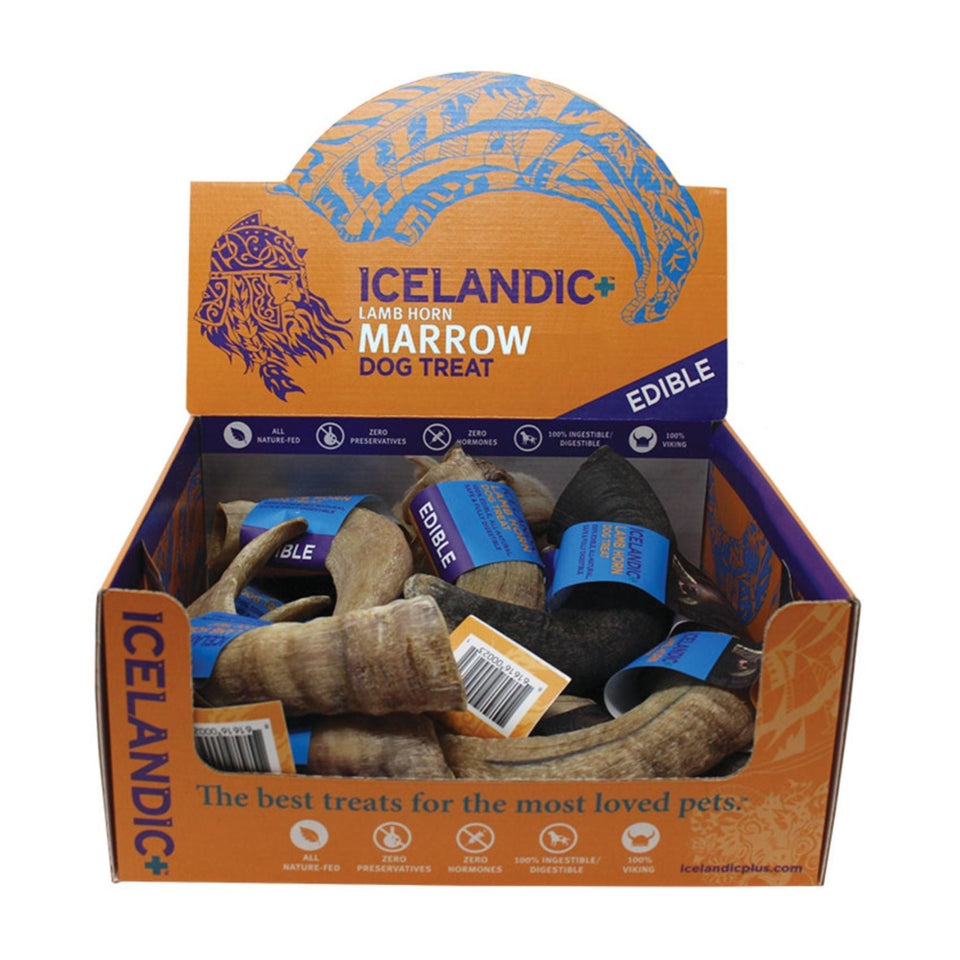 Icelandic  Lamb Horn W- Marrow - 36-Piece Display Loose (Sized Approx. 4-5In)