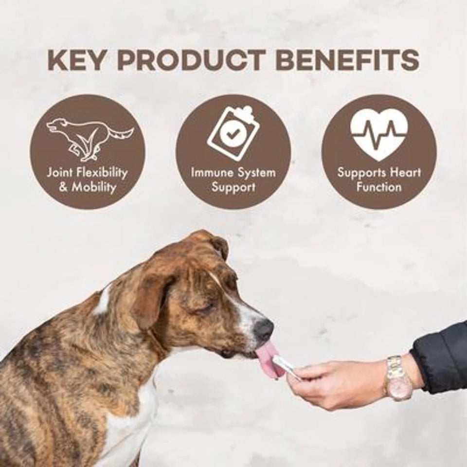 Coromega Pup Packets Omega-3 Joint & Muscle Mobility Support - Pets Perfect