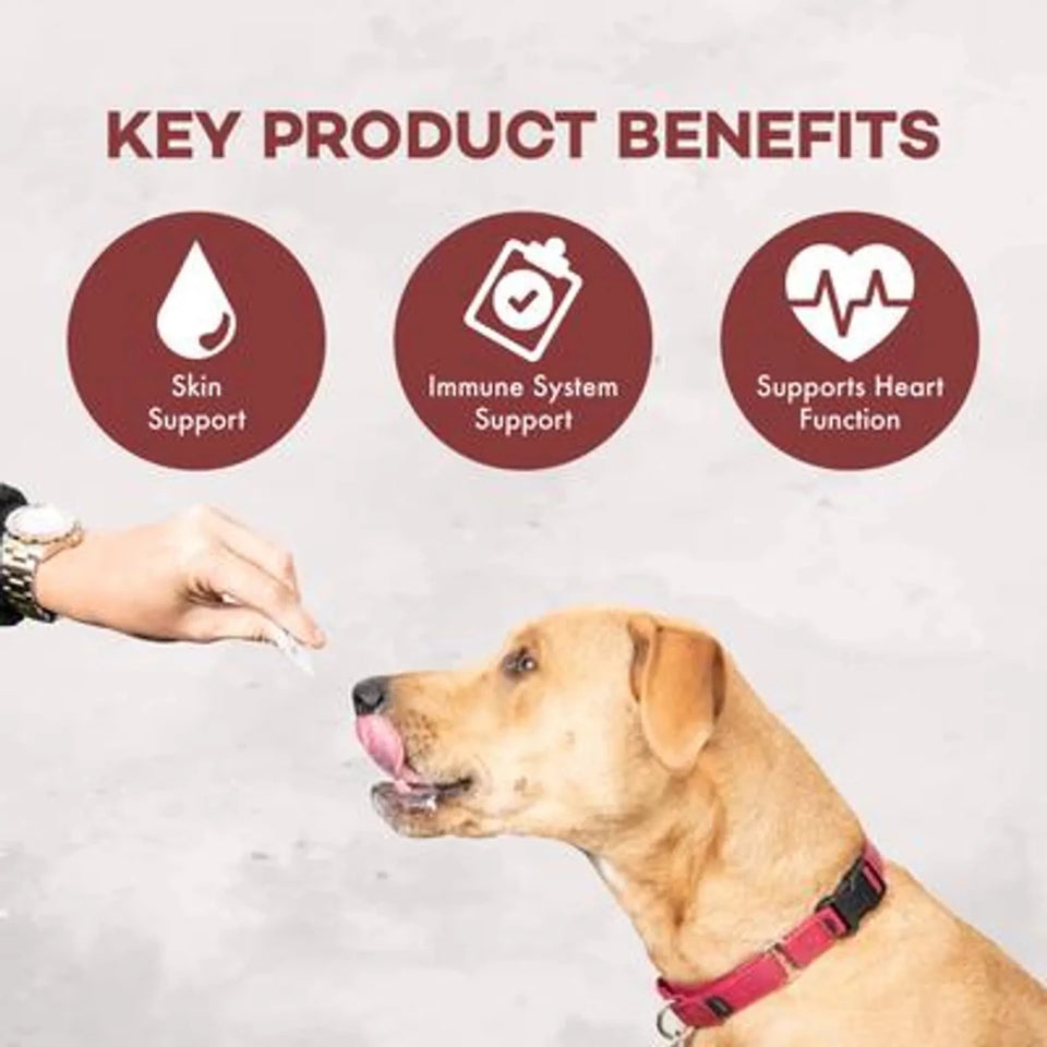 Coromega Pup Packets Omega-3 Skin & Immune Support - Pets Perfect