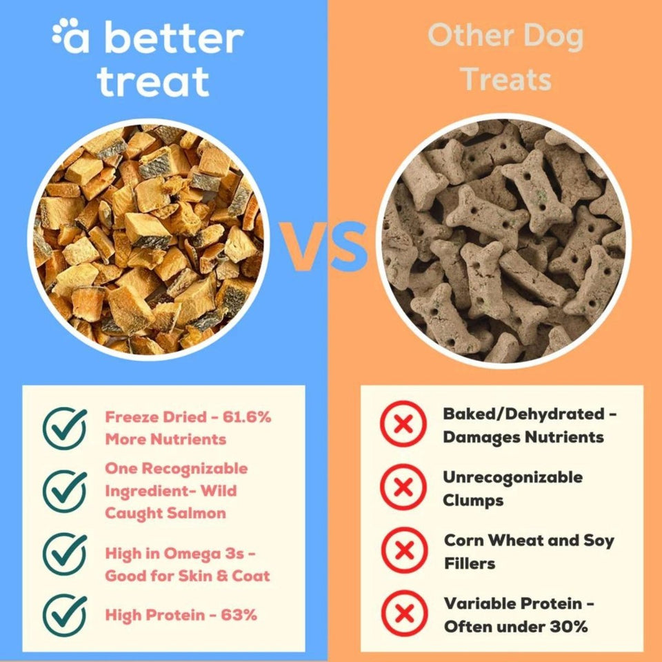 A Better Dog Treat Just One Thing FD Wild Caught Salmon Dog & Cat Dog, view 4