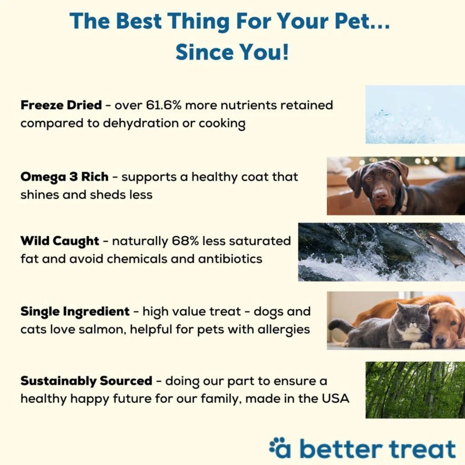 A Better Dog Treat Just One Thing FD Wild Caught Salmon Dog & Cat Dog, view 2