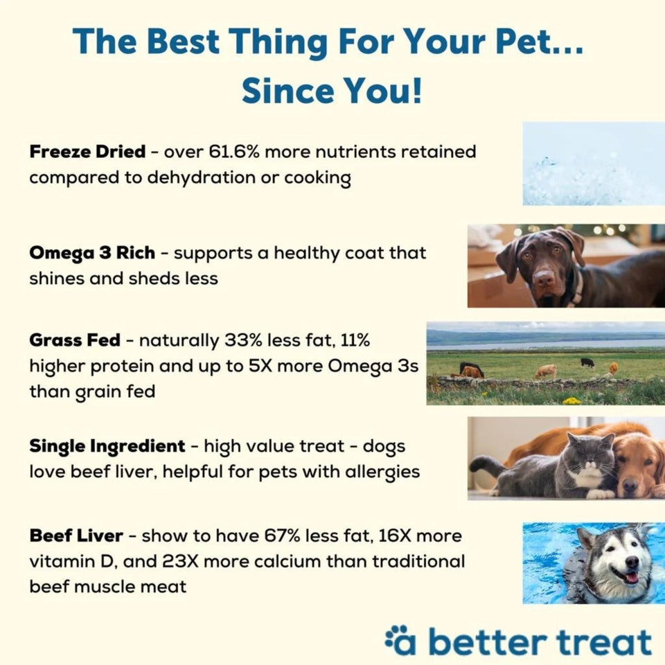 A Better Dog Treat Just One Thing FD Beef Liver Dog & Cat Dog Treats 3, view 4