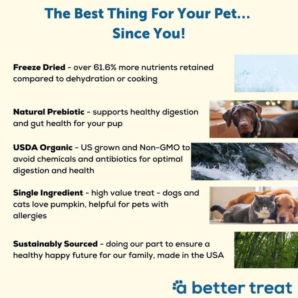 A Better Dog Treat Just One Thing FD Salmon Dog & Cat Dog Treats 3 oz, view 2