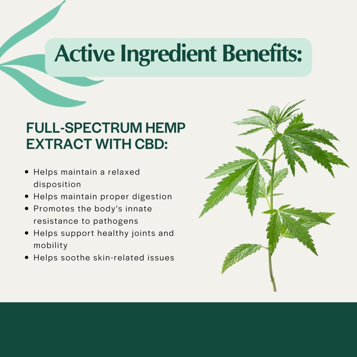 Pet Releaf Feline Stress Organic Hemp Oil CBD 180mg - Pets Perfect