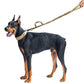 Tactical Elastic Control Dog Leash - Pets Perfect