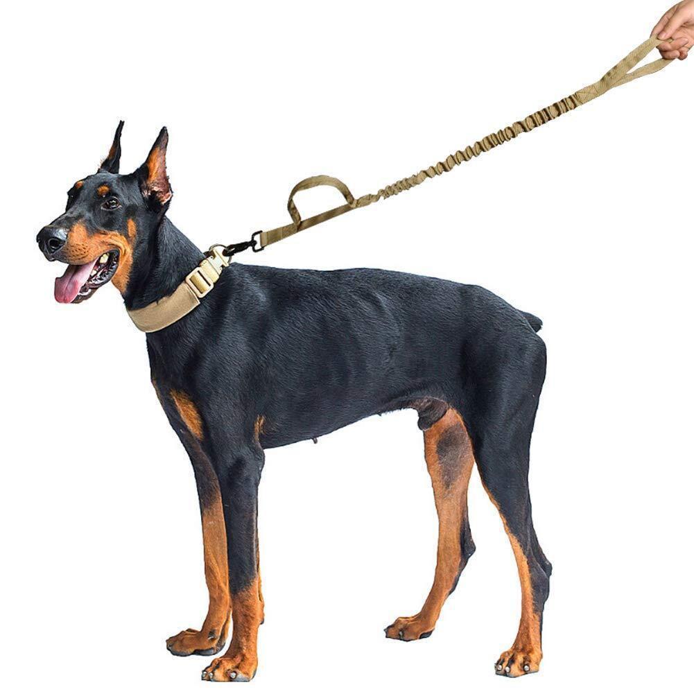Tactical Elastic Control Dog Leash - Pets Perfect