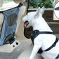 Pet Guard Car Rear Seat Safety Barrier