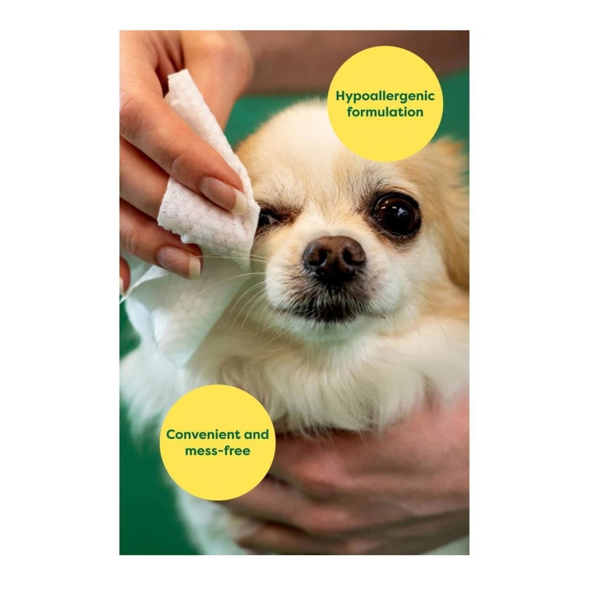 Earth Rated Dog Eye Wipes 60 Count - Pets Perfect