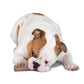 Petstages Dogwood Durable Stick Dog Toy Medium