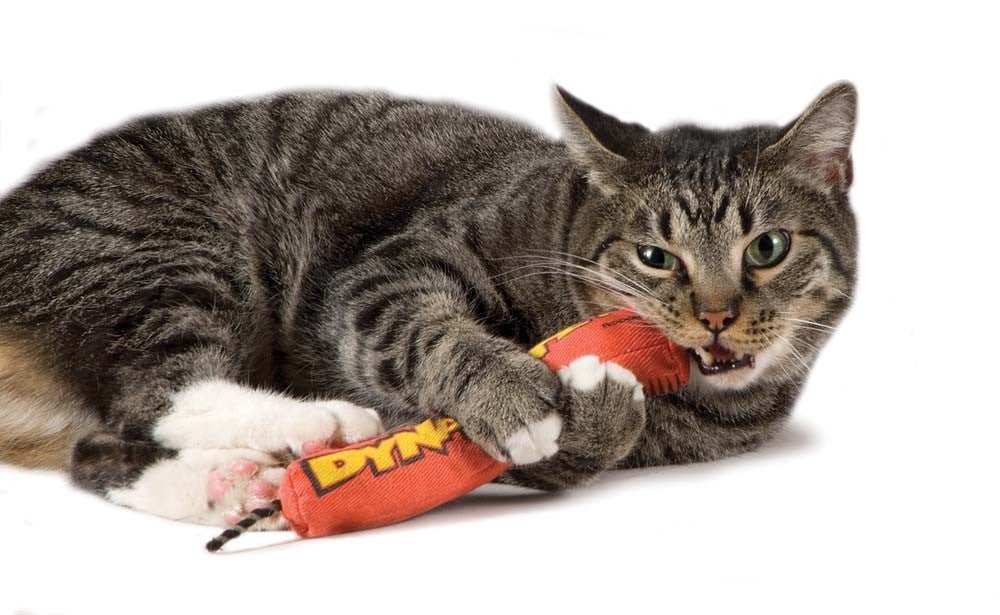 Petstages Green Magic Dynamite Catnip Toy Red 1ea/One Size - Pets Perfect