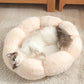 Floral Haven Pet Bed - Luxurious Flower - Shaped Blanket For Dogs And Cats - Pets Perfect