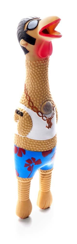 Charming Pet Products Squawkers Earl Dog Toy Multi-Color Large