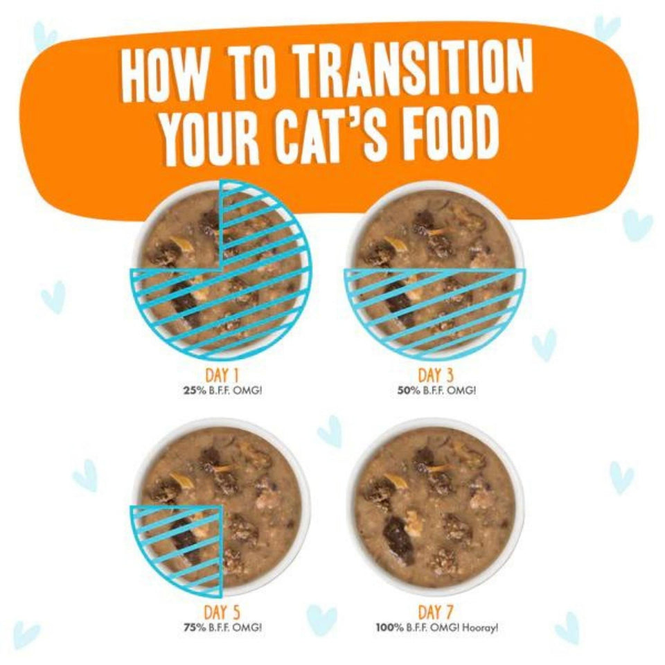 BFF Grain-Free Chicken, Turkey & Salmon Wet Cat Food in Gravy, 2.8 oz Pouch 12 ct