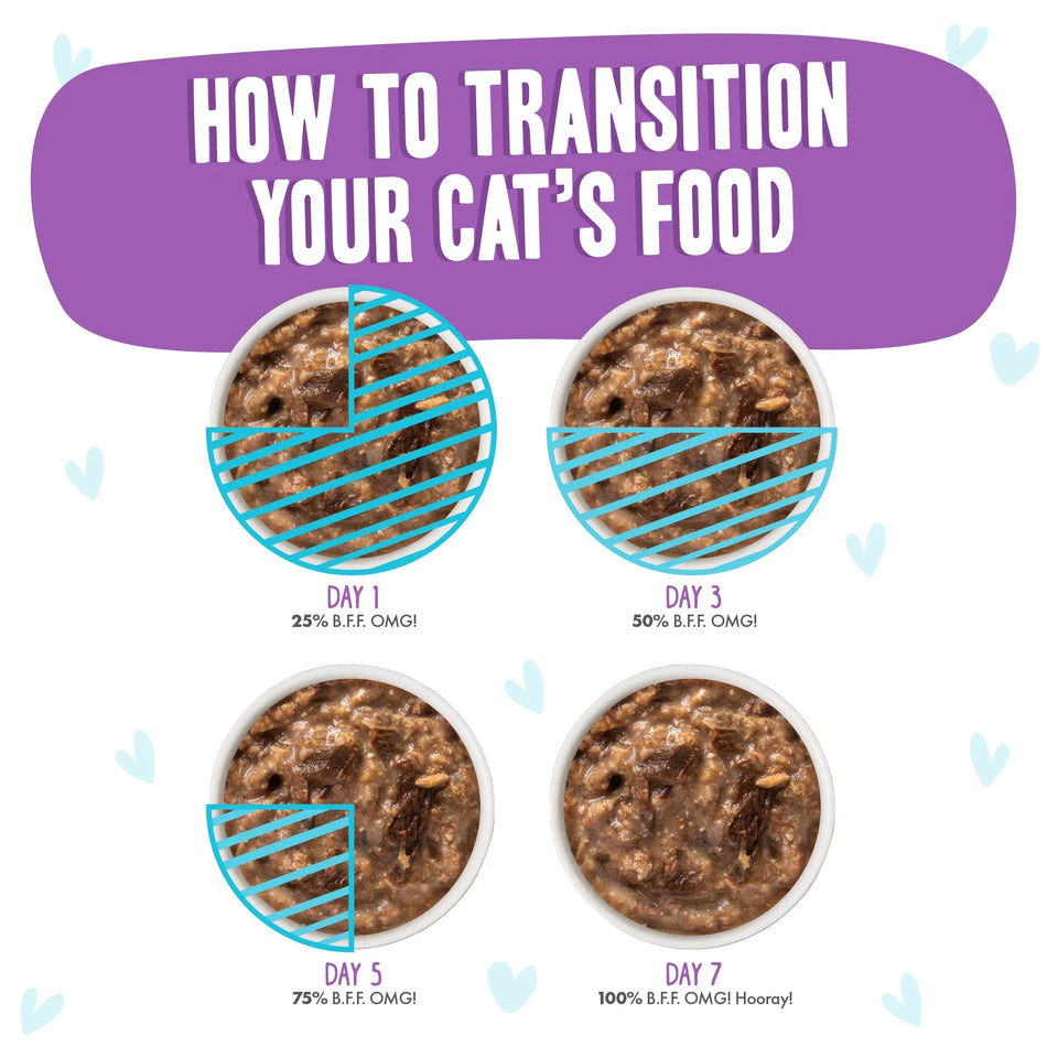 BFF Cat Omg Booya! Beef and Chicken Dinner in Gravy 2.8 oz. Pouch 12 ct