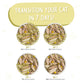Weruva Cat Meow Luau with Mackerel and Pumpkin in Gravy 3oz. (Case of 24) - Pets Perfect
