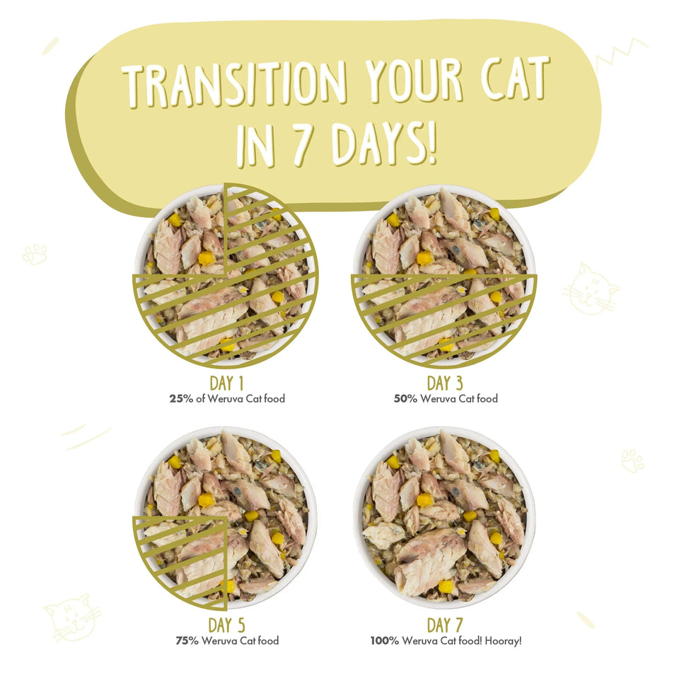 Weruva Cat Meow Luau with Mackerel and Pumpkin in Gravy, 3 oz each, Case of 24
