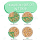 Weruva Cat Green Eggs and Chicken with Chicken and Egg in Pea Soup 3oz. (Case of 24) - Pets Perfect