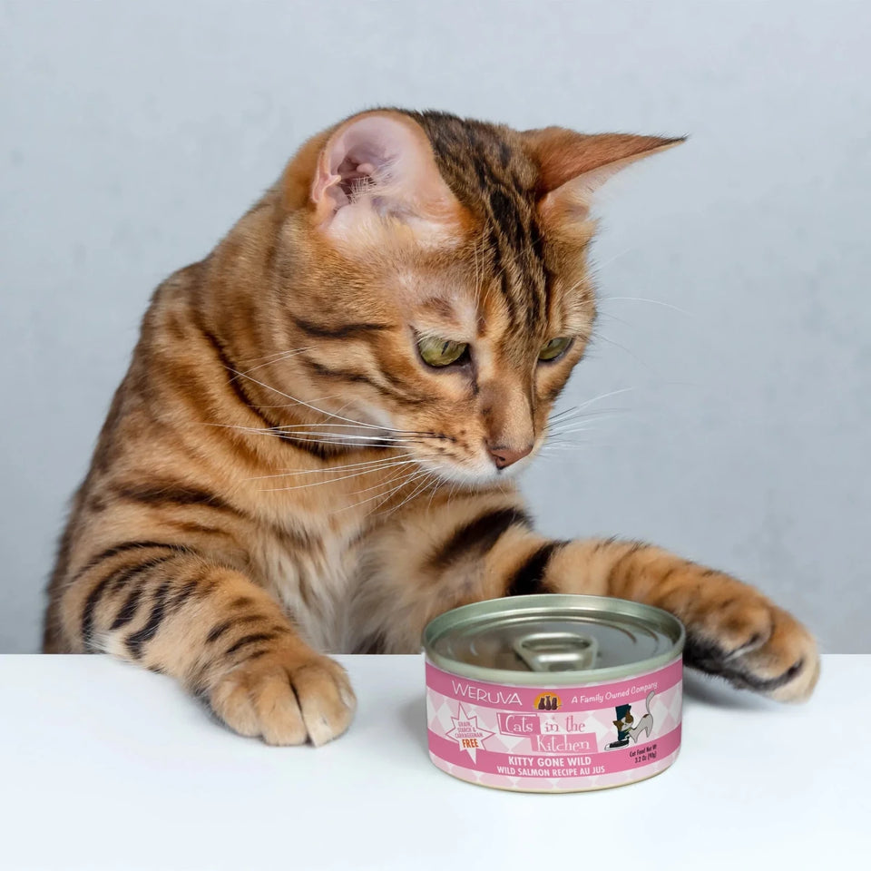 Cats in the Kitchen Kitty Gone Wild Wild Salmon, Tuna, 10 oz, 12 ct, view 2
