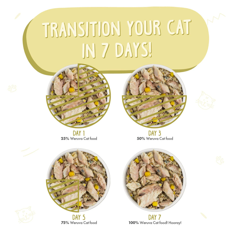 Weruva Cat Meow Luau with Mackerel and Pumpkin in Gravy, 5.5 oz each, Case of 24
